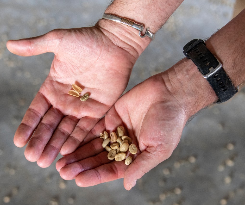 The Journey of Coffee