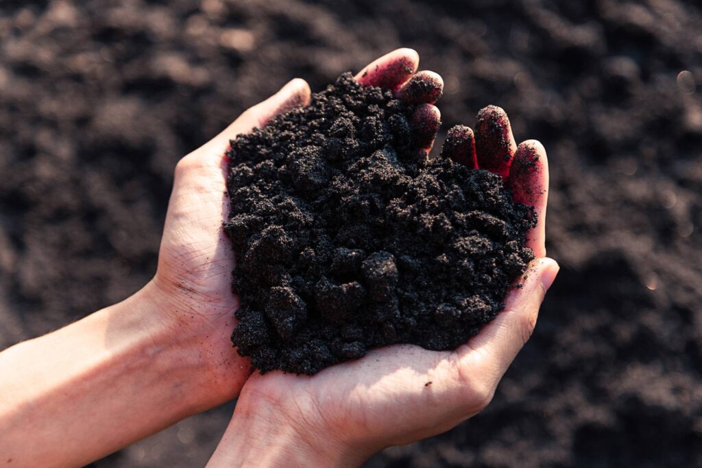 Composting Coffee Grounds